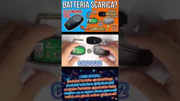 6182.jpg