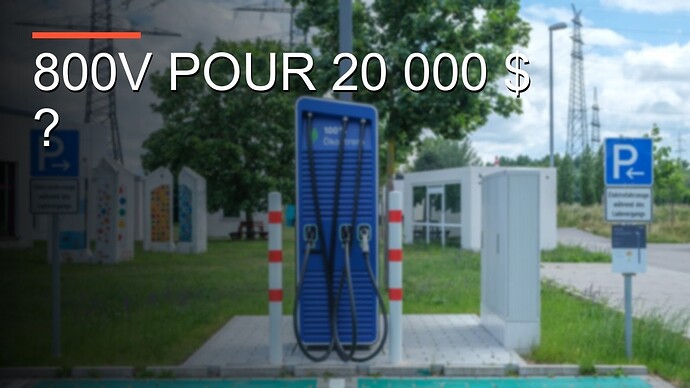 7295.jpg